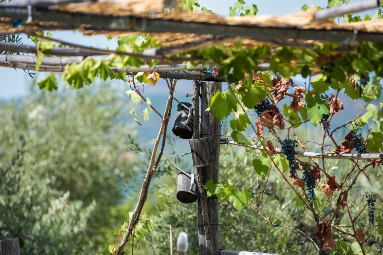 Le Capanne Di Villa Margherita Sonnino Bagian luar foto